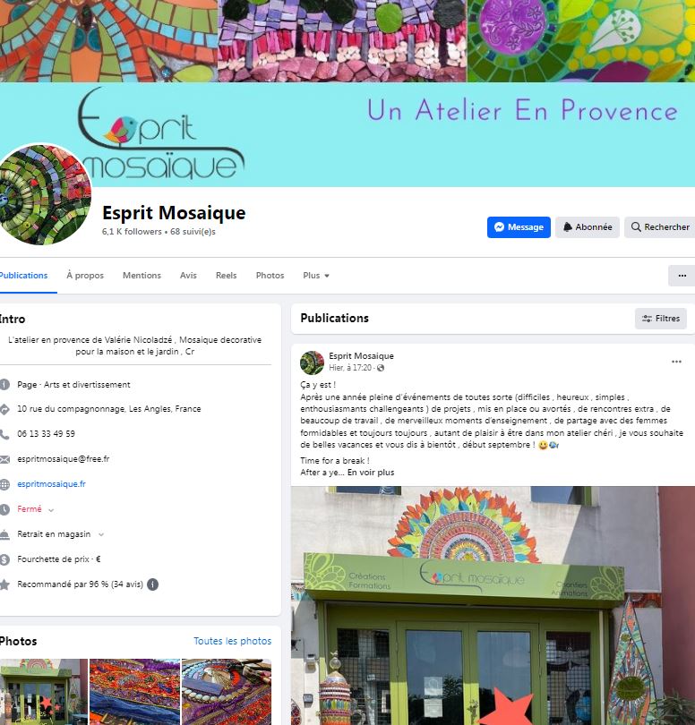 stages et formation mosaiste