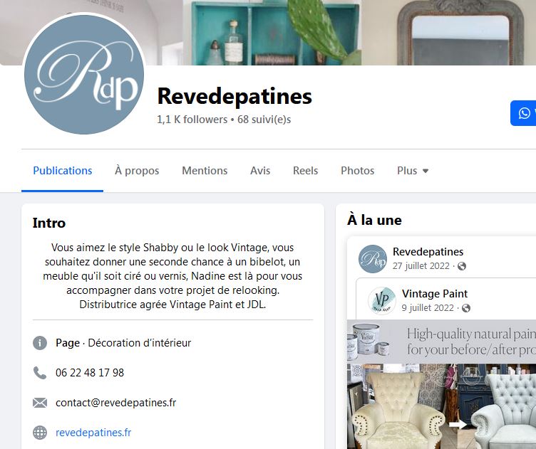 Sauveurs de rêves Sauves (3